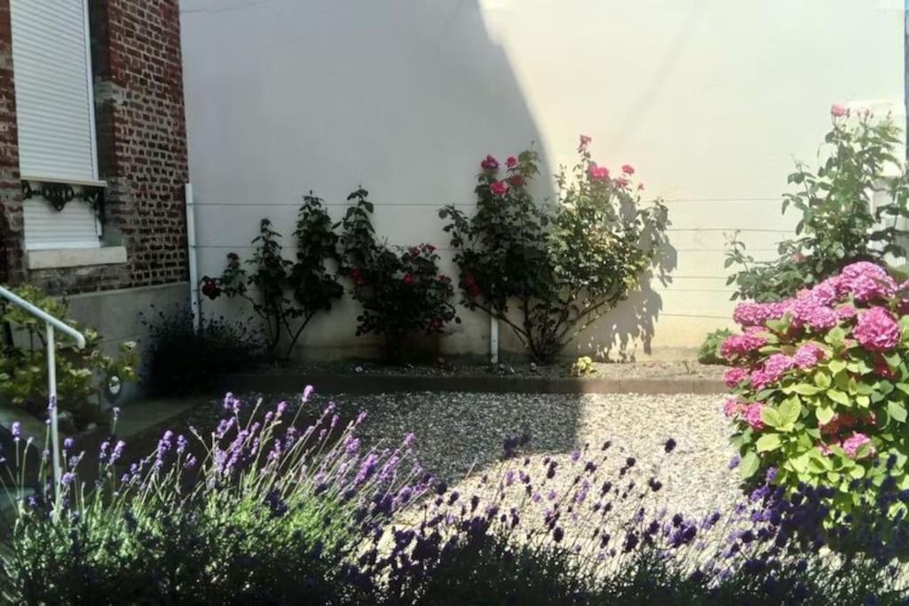 Appartement Calme A 300 M De La Plage-Centre Ville - Quiet Appartment 300 M Near City And Beach Мер-ле-Бен Екстер'єр фото